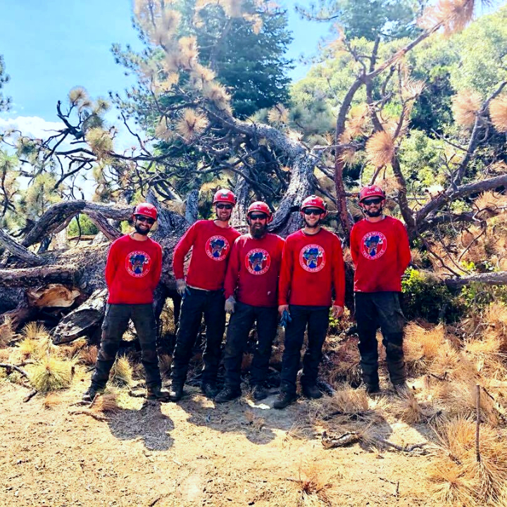 Jeremiah's Tree Service