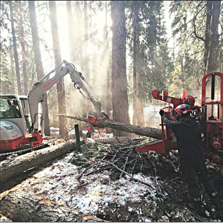 Jeremiah's Tree Service