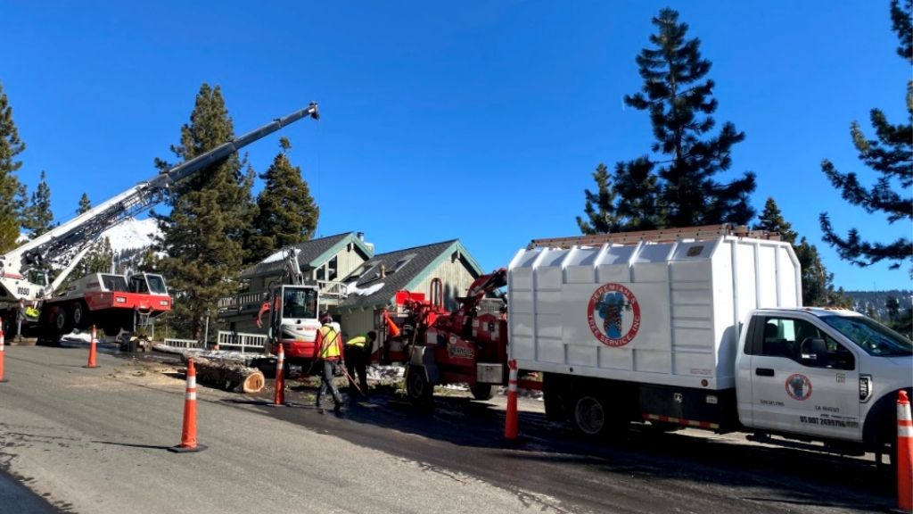 Jeremiah's Tree Service