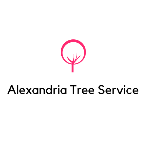 Alexandria Tree Service