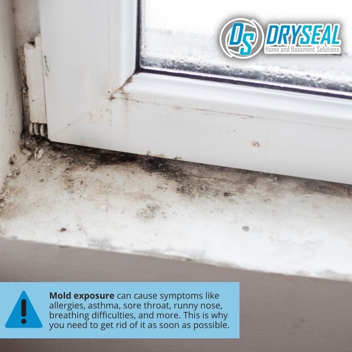 DrySeal Home and Basement Solutions business image in Farmville, VA