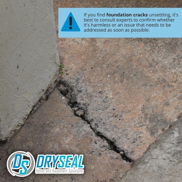 DrySeal Home and Basement Solutions business image in Farmville, VA