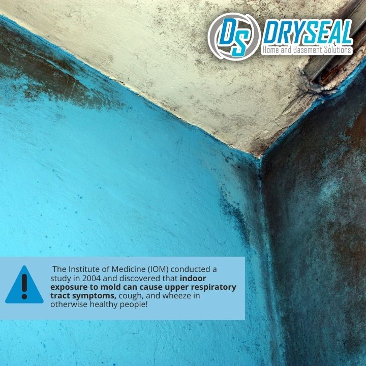 DrySeal Home and Basement Solutions business image in Farmville, VA