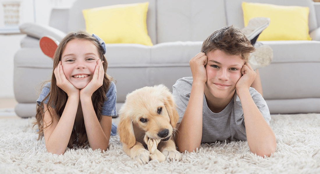 Sterling Heights Carpet and Floors