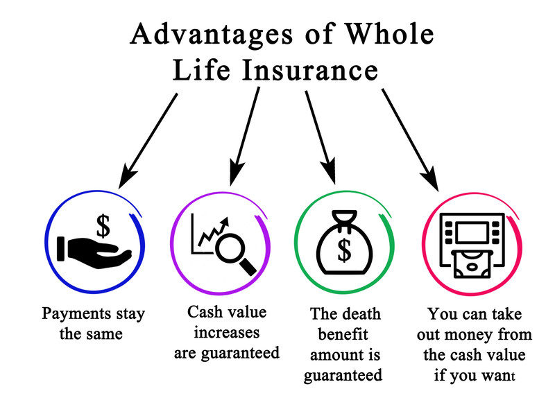 Albany Life Insurance Experts